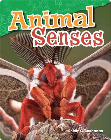 Animal Senses book