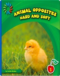 Hard and Soft