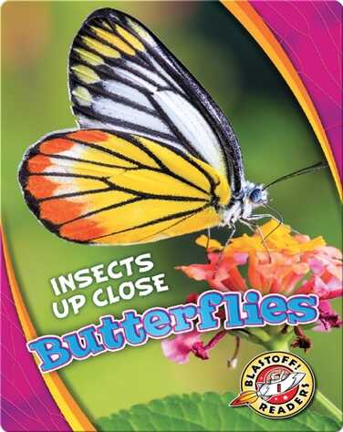 Butterflies book