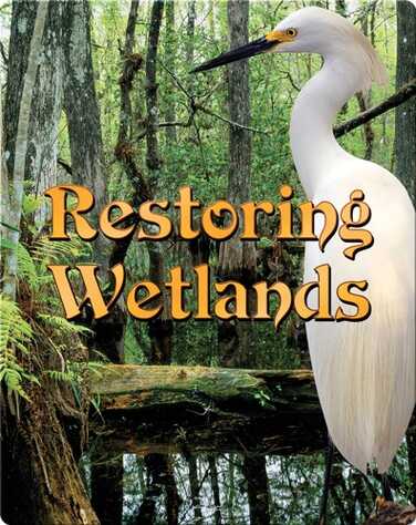 Restoring Wetlands book