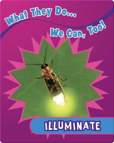 Illuminate book
