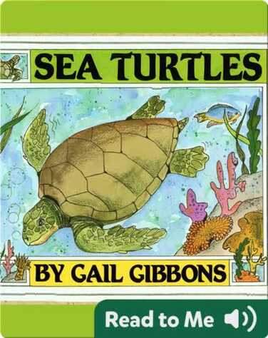 Sea Turtles book