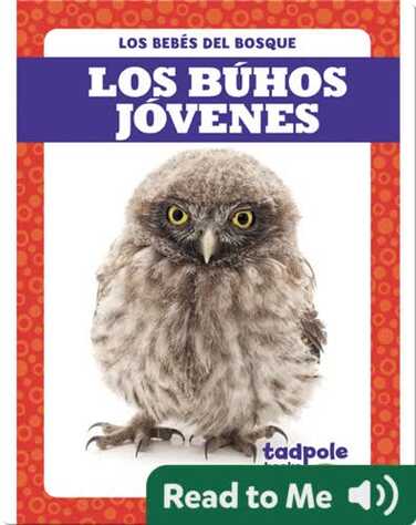 Los búhos jóvenes book