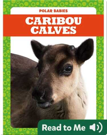 Polar Babies: Caribou Calves book