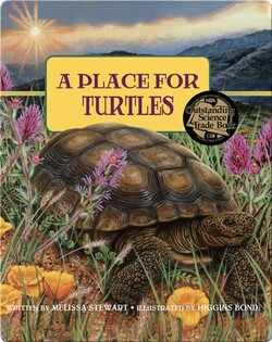 A Place for Turtles