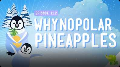 Crash Course Kids: Why No Polar Pineapple book