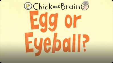 Chick and Brain: Egg or Eyeball? book