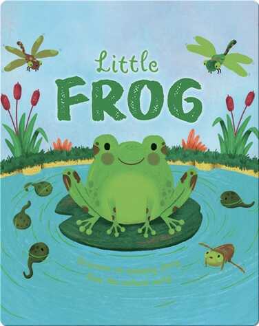 Little Frog book