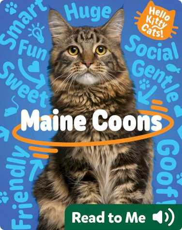 Hello Kitty Cats! Maine Coons book