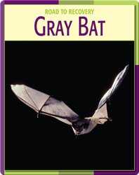 Road To Recovery: Gray Bat book