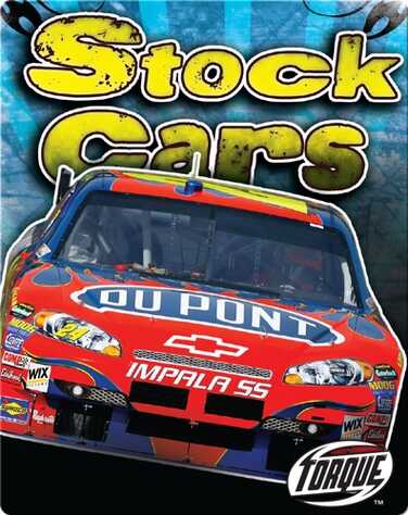 Stock Cars book