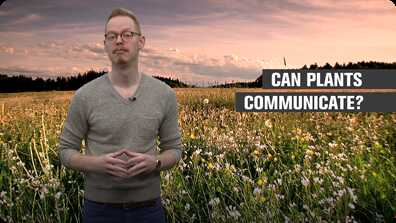 Can Plants Communicate? book