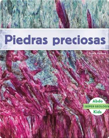 Piedras preciosas book