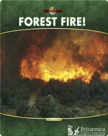 Forest Fire! book