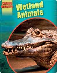 Wetland Animals book
