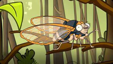 I'm a Cicada book
