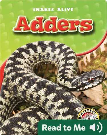 Adders book