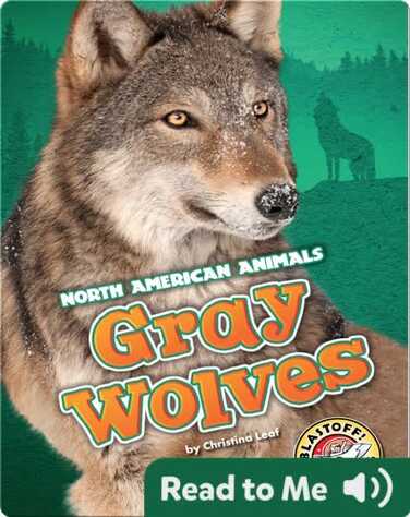 Gray Wolves book