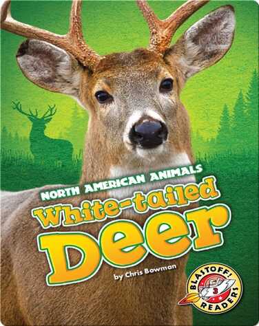 White-tailed Deer book
