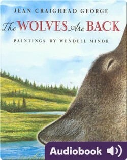 The Wolves Are Back