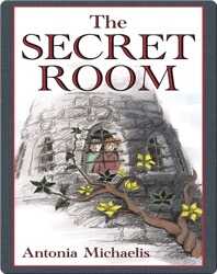The Secret Room book