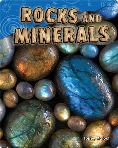 Rocks and Minerals book