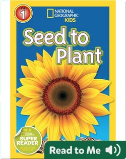 National Geographic Readers: Seed to Plant
