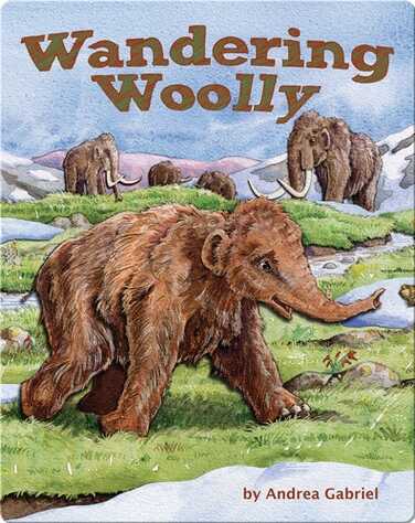 Wondering Woolly book