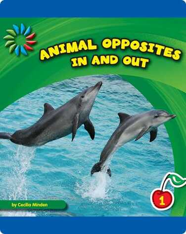 In and Out book