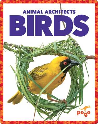 Birds book