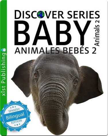 Animales Bebés 2/ Baby Animals 2 book