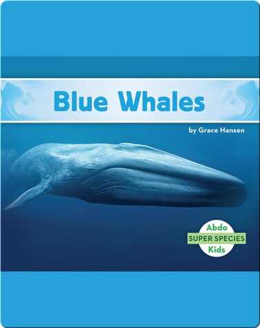 Blue Whales book
