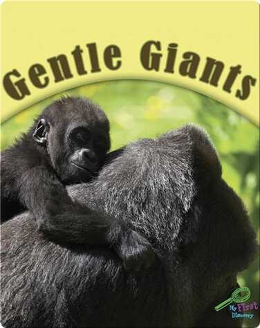 Gentle Giants book