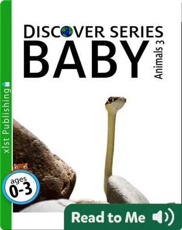 Discover Series: Baby Animals 3 book