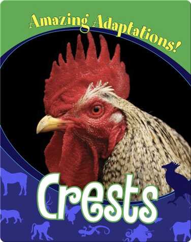 Crests book
