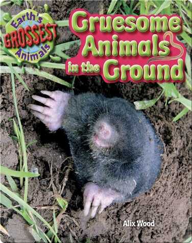 Gruesome Animals in the Ground book