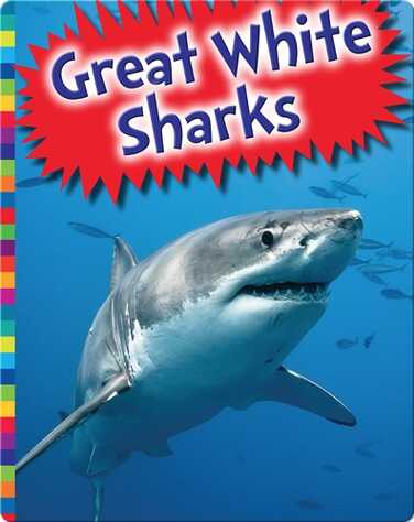 Great White Sharks book