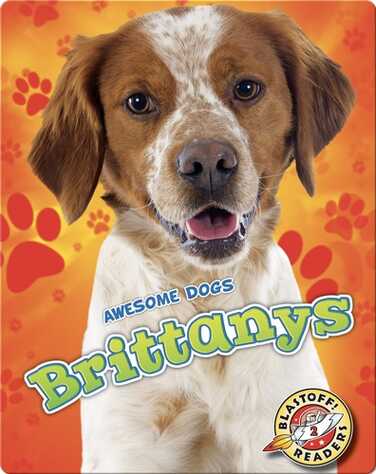 Brittanys book