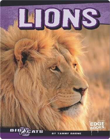 Lions book