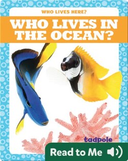 Who Lives in the Ocean?