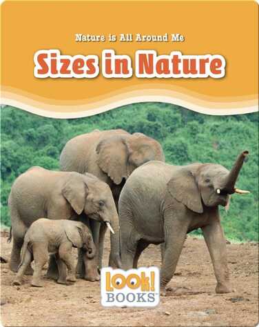 Sizes in Nature book