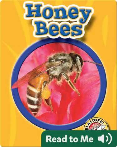 World of Insects: Honey Bees book