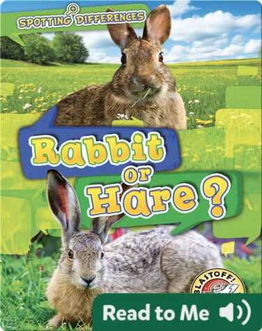 Rabbit or Hare? book