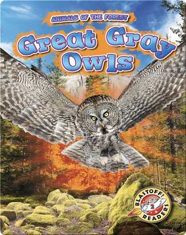 Animals of the Forest: Great Gray Owls book