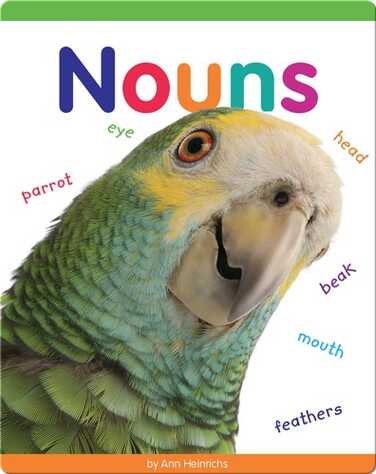 Nouns book