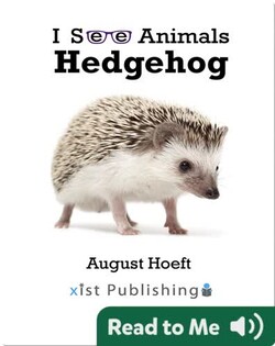 I See Animals: Hedgehog