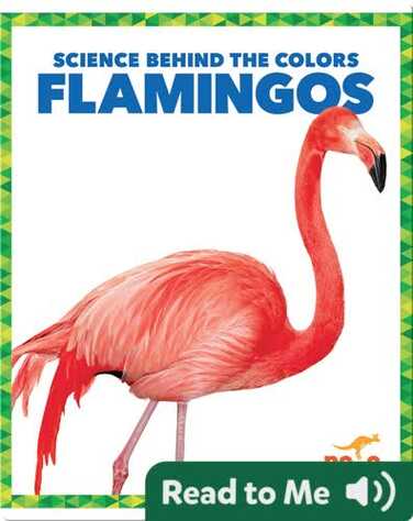 Science Behind the Colors: Flamingos book