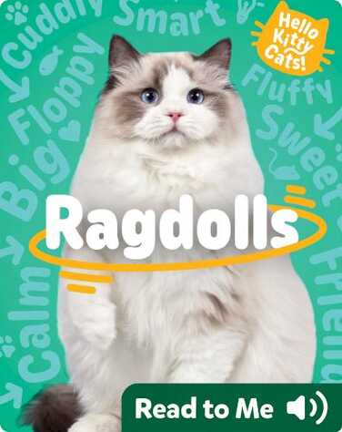 Hello Kitty Cats! Ragdolls book