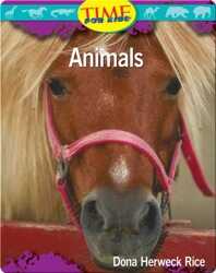 Animals book