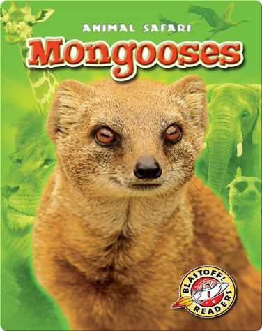 Mongooses book